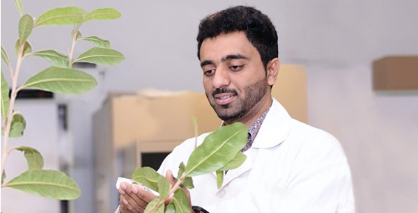 طالب في جامعة الإمارات العربية المتحدة يعتقد أن نظام الري بالتنقيط المبتكر يمكن أن يزيد من كفاءة الري ونمو النبات