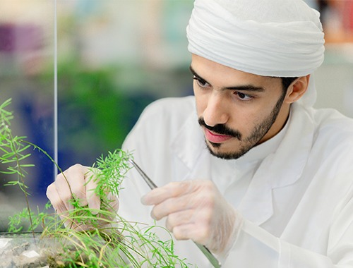 Overview about the college