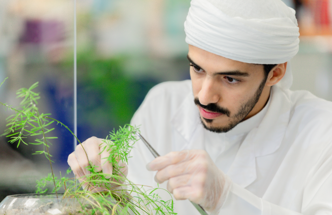 باحث يعمل على عينات نباتية في مركز خليفة للهندسة الوراثية والتقانات الحيوية بجامعة الإمارات العربية المتحدة.