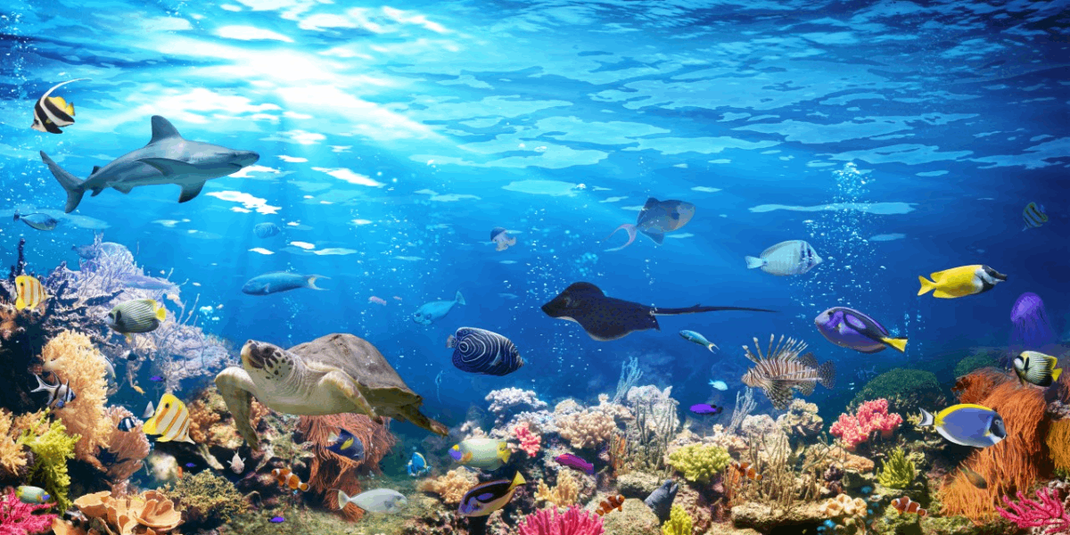 UAEU Researchers Prioritise Oceans’ Health