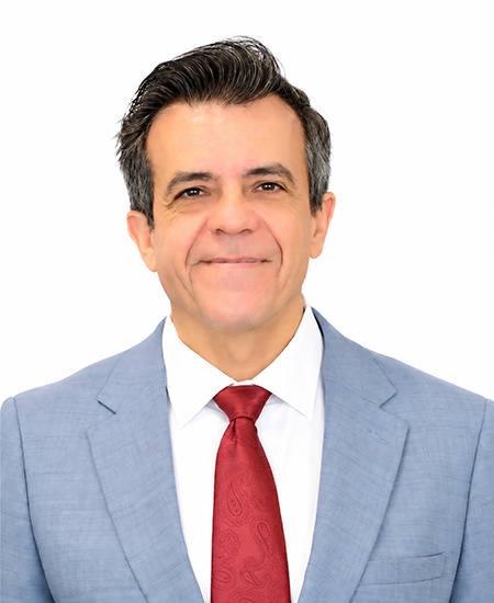Prof. David Camacho Fernandez